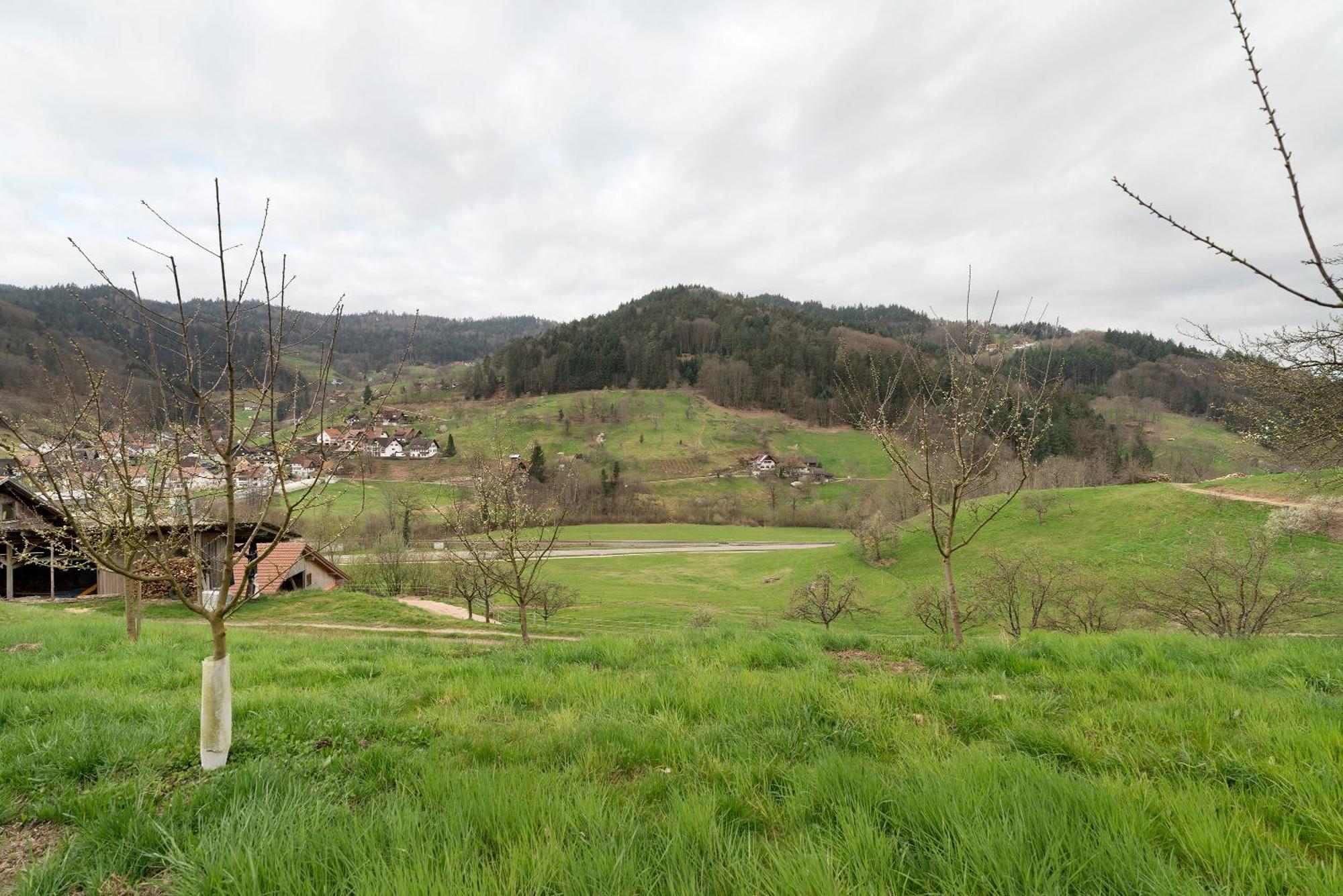 Haus Am Schroffen Leilighet Ottenhofen im Schwarzwald Eksteriør bilde