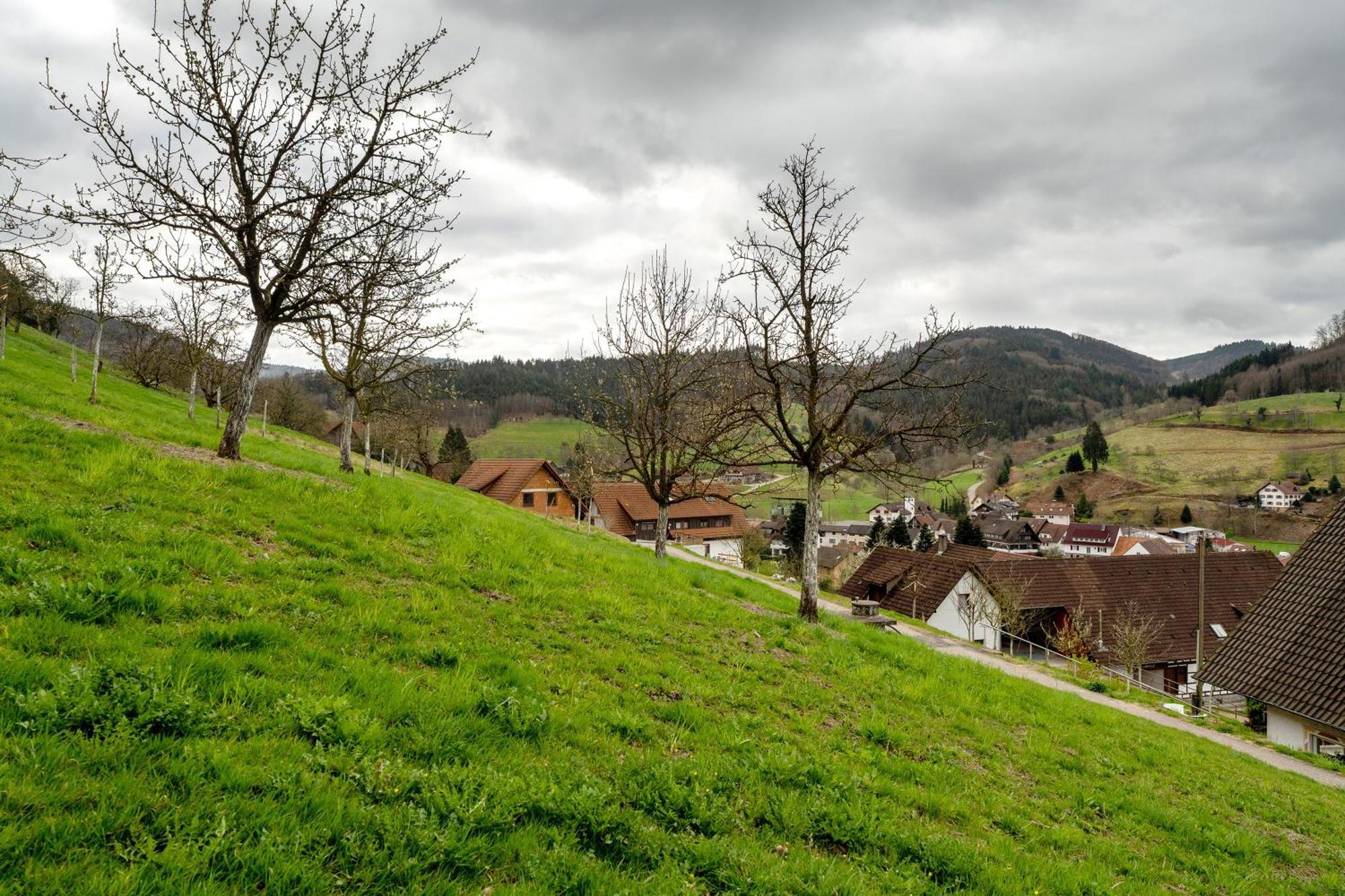 Haus Am Schroffen Leilighet Ottenhofen im Schwarzwald Eksteriør bilde